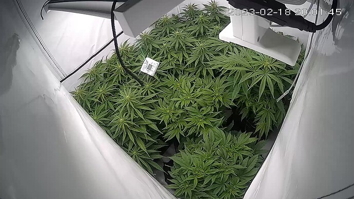Growreport Bild 3
