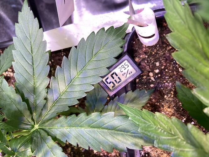 Growreport Bild 12