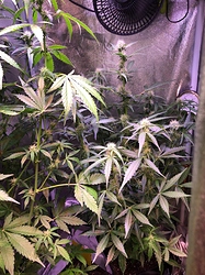 Growreport Bild 23