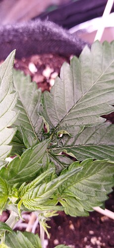 IMG_20231014_214653