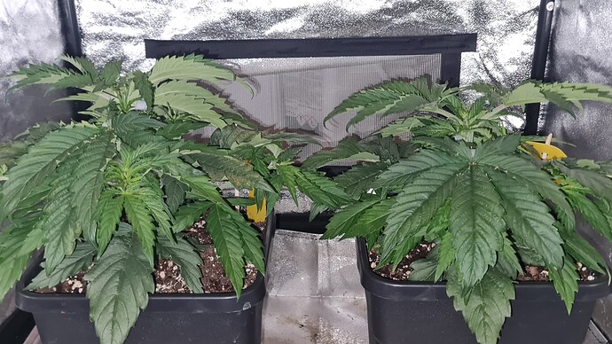 Growreport Bild 4