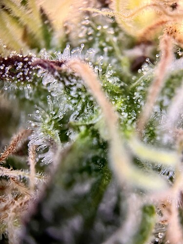 Growreport Bild 10