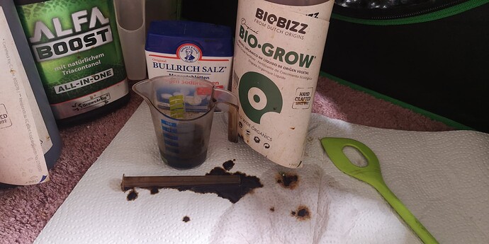 Growreport Bild 15