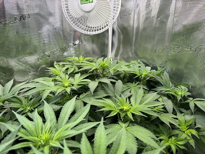 Growreport Bild 14
