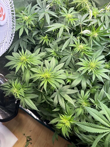 Growreport Bild 20