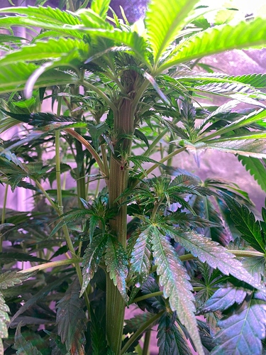 Growreport Bild 8