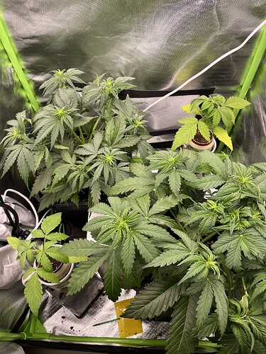 Growreport Bild 23
