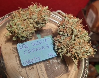 Growreport Bild 16