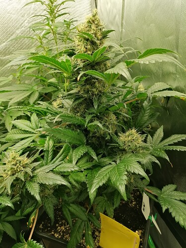 Growreport Bild 10