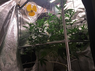 Growreport Bild 7
