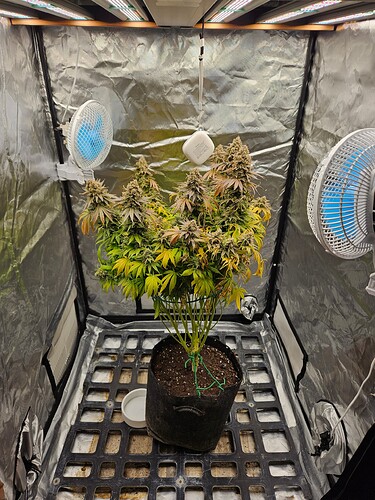 Growreport Bild 12