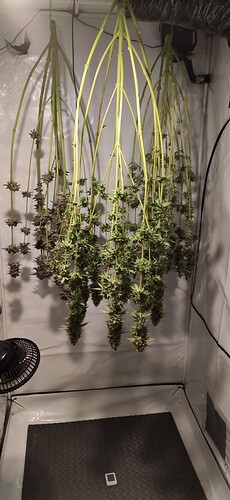 Growreport Bild 5