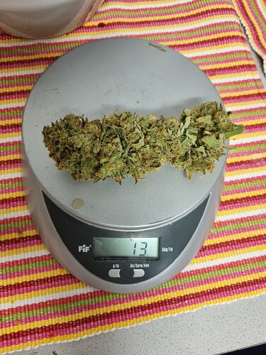 Growreport Bild 4