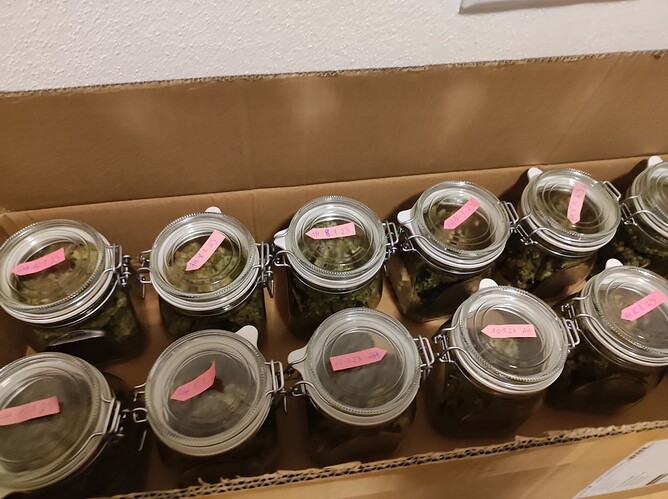 Growreport Bild 3