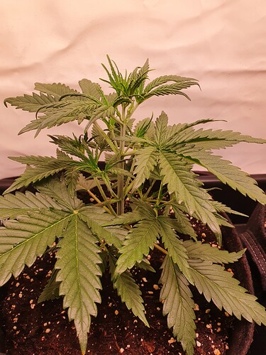 Growreport Bild 14