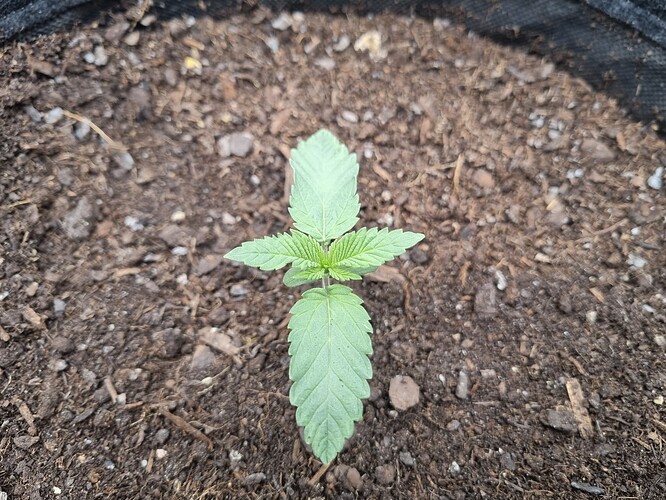 Growreport Bild 16