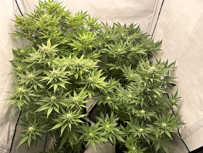 Growreport Bild 13