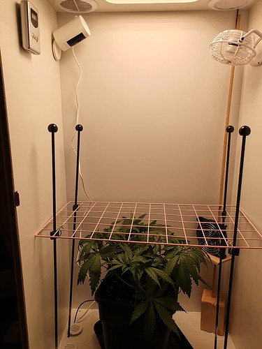Growreport Bild 9