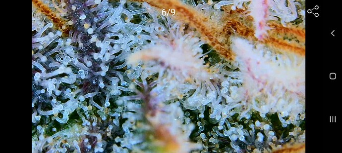 Growreport Bild 9