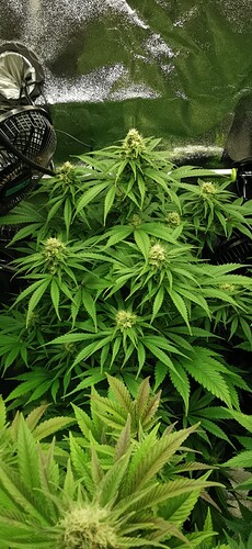 Growreport Bild 10