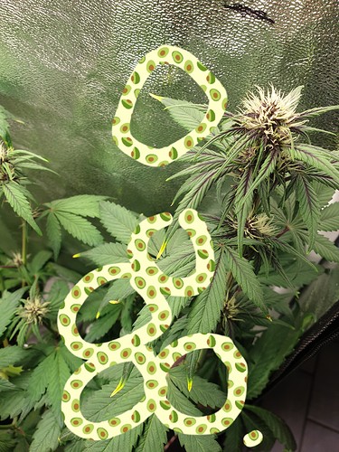 Growreport Bild 10