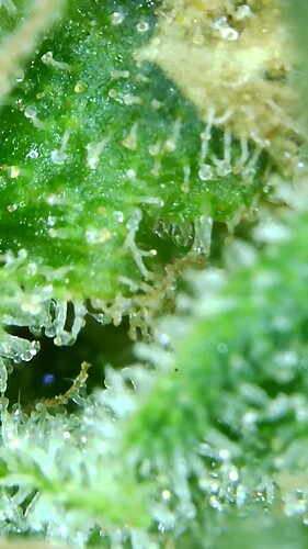 Growreport Bild 11
