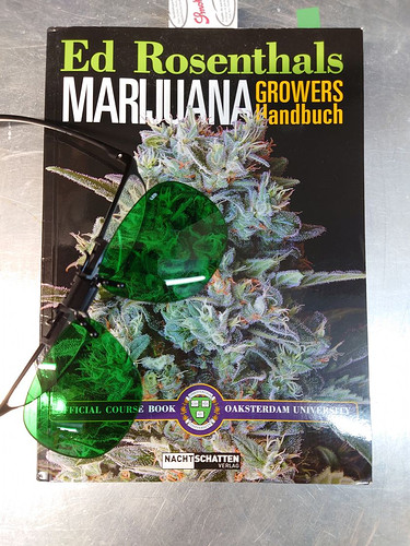 Growreport Bild 15