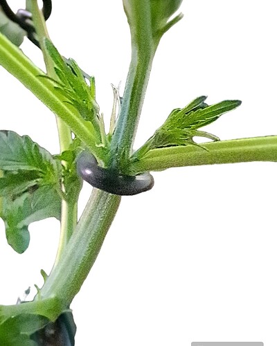 Screenshot_20231220_105018_PhotoRoom