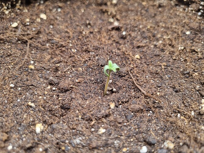 Growreport Bild 15