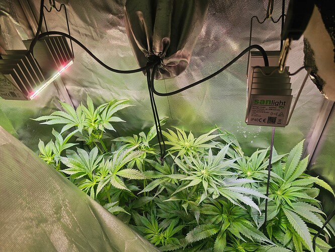 Growreport Bild 13