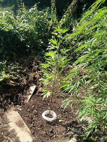 Growreport Bild 12