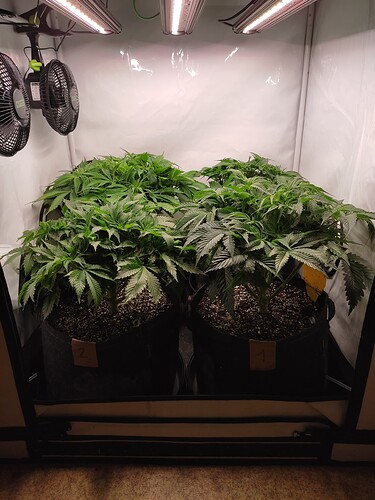 Growreport Bild 6