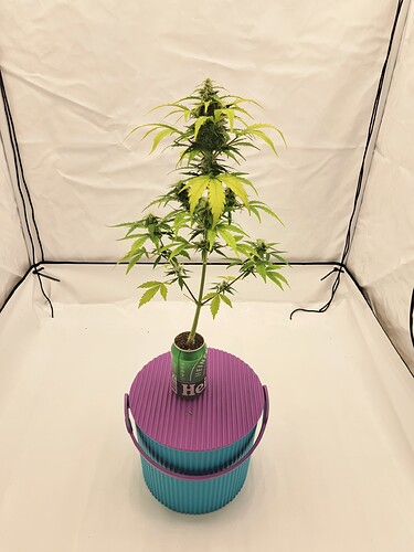 Growreport Bild 4