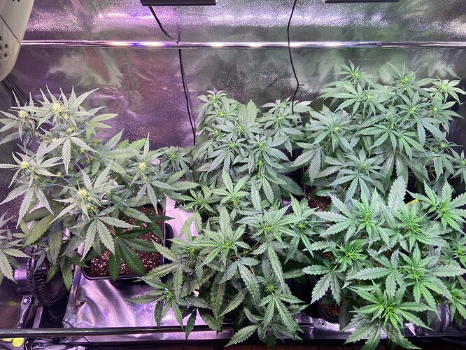 Growreport Bild 5