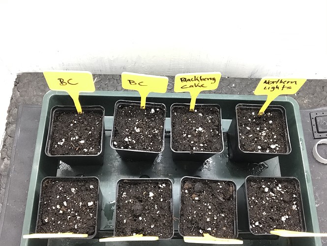 Growreport Bild 10