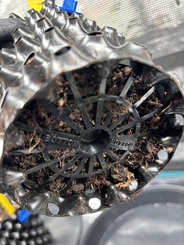 Growreport Bild 67