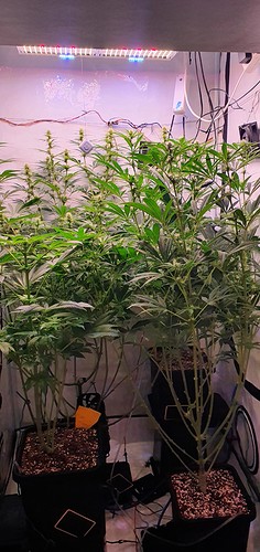 Growreport Bild 6