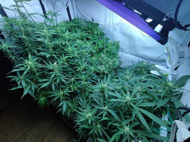 Growreport Bild 10