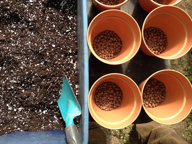 Growreport Bild 48