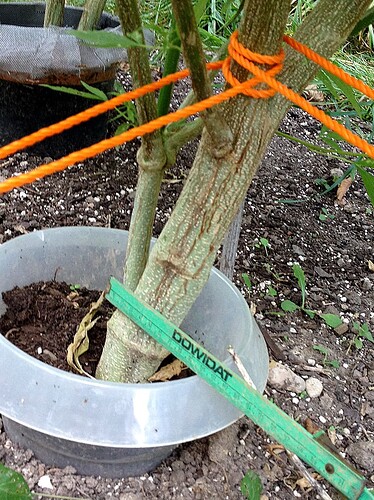 Growreport Bild 23