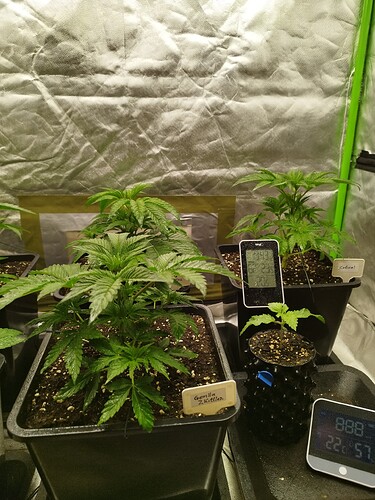 Growreport Bild 5