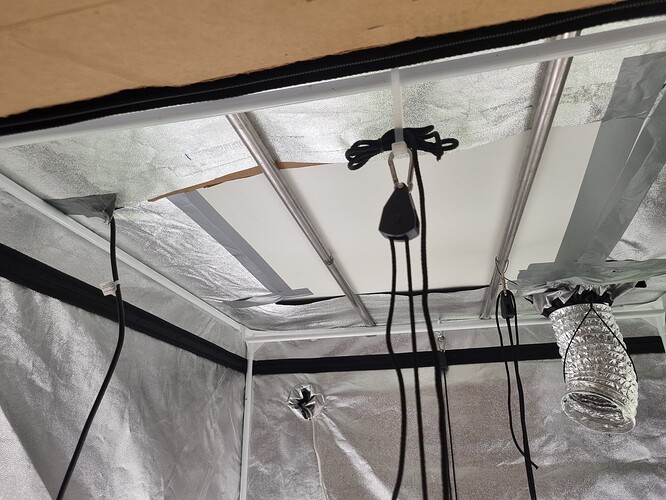 Growreport Bild 10