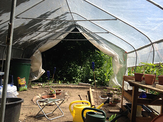 Growreport Bild 4