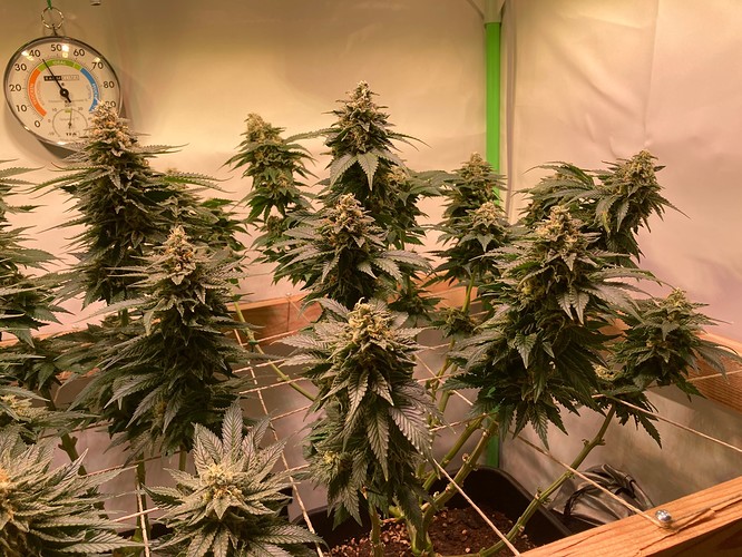 Growreport Bild 5