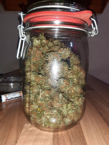 Growreport Bild 13