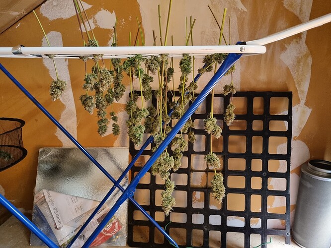 Growreport Bild 1