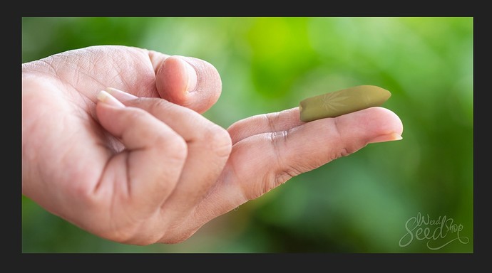 Screenshot_20211218-162926