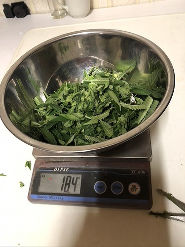 Growreport Bild 4