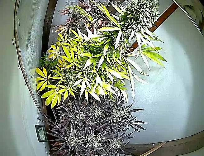 Growreport Bild 6