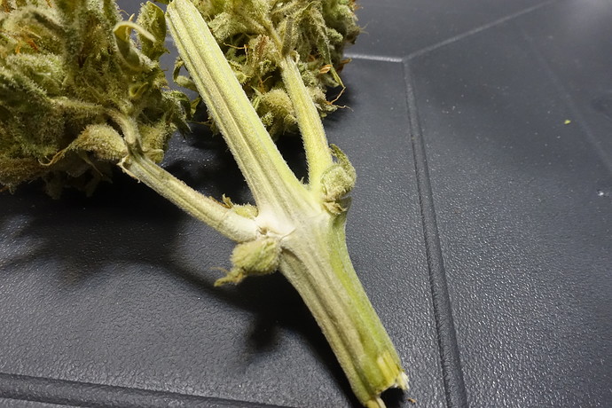 Growreport Bild 5